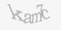 Защитный код