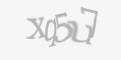 Защитный код