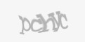 Защитный код