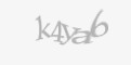 Защитный код