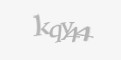 Защитный код